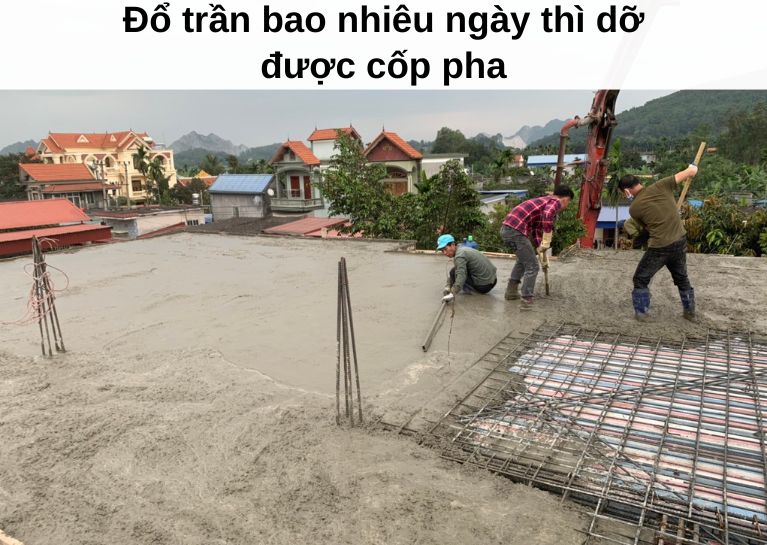 Đổ trần bao nhiêu ngày thì dỡ được cốp pha